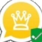 واتساب الذهبي